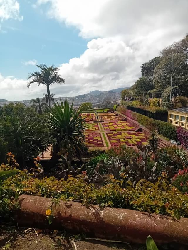 Photo 3 by christophe S. about renting a Renault Captur in Madeira (4/13/25)