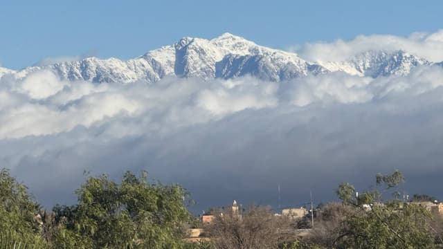 Foto 1 van Tamara L. (27-12-25)