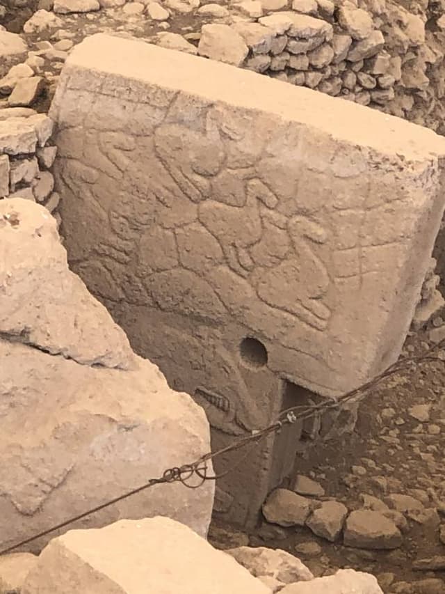 Photo 2 by Marvina B. (9/29/22)