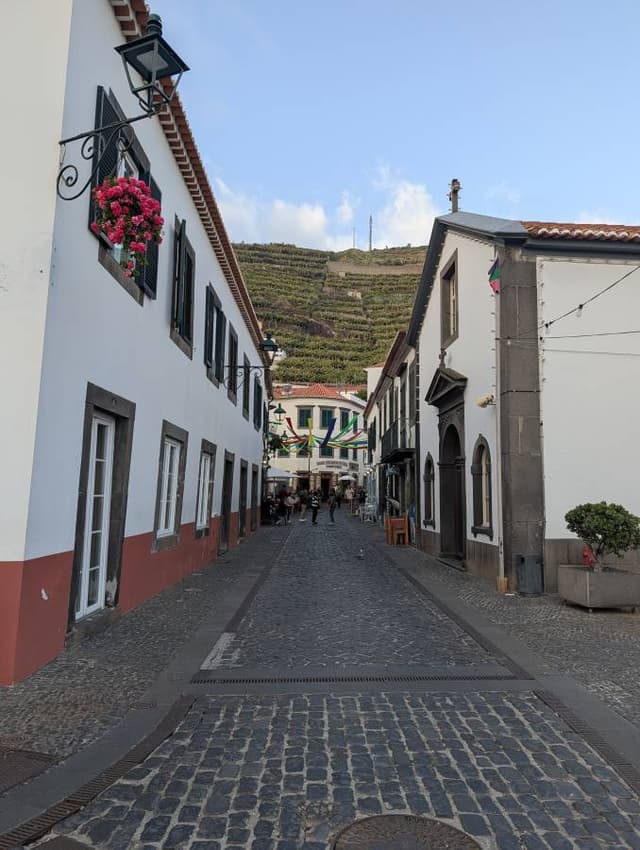 Photo 3 by Stephen Angus M. (3/7/26)