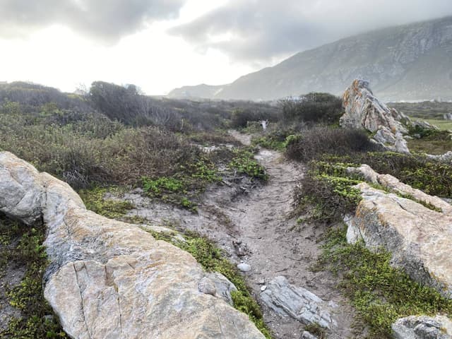 Photo 2 by Victor E. (4/21/25)