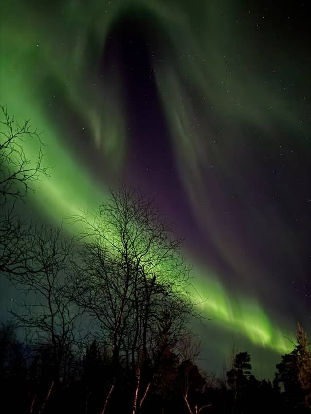 Photo 1 par Frederic Q. (19/10/25)