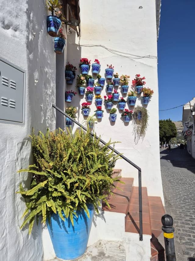 Foto 2 von Rudolf R. (5.3.25)