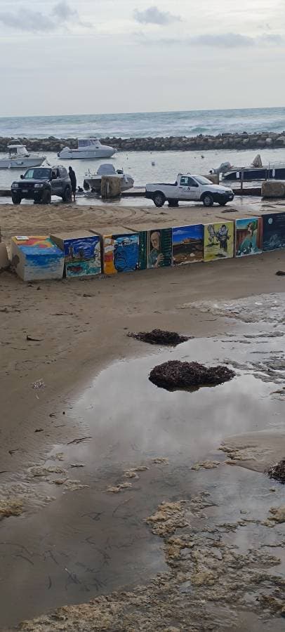 Foto 2 di Luigi P. (09/01/26)