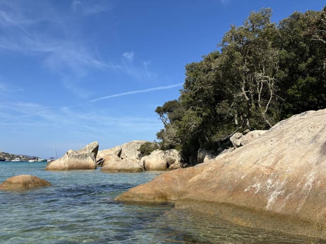 Foto 1 di Angela L. sul noleggio di una Renault Twingo in Corsica (14/08/24)