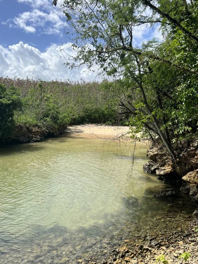 Photo 1 by Amanda K. about hiring a Toyota Aqua at Tobago Airport (19/07/23)