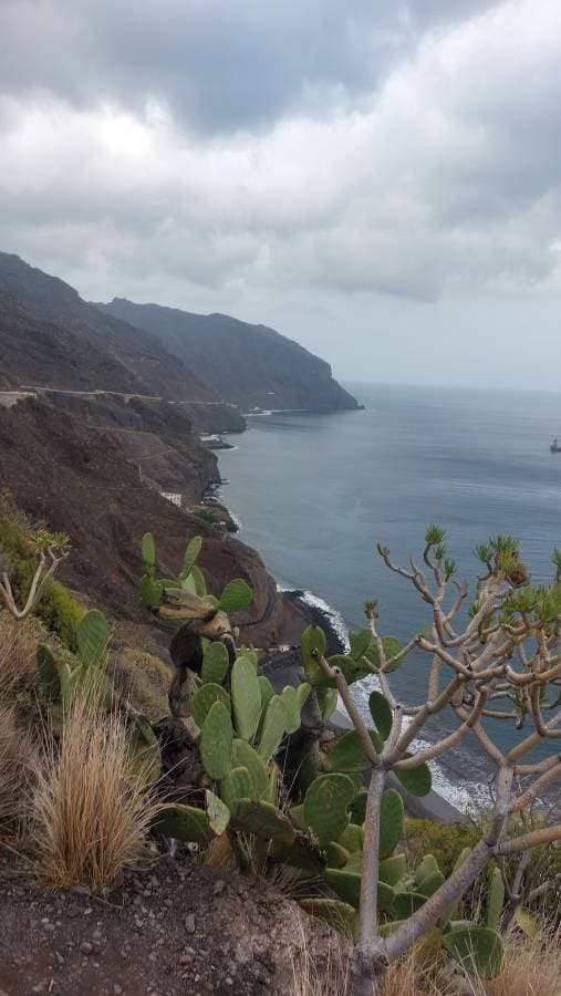 Zdjęcie 1 wykonane przez Marcin F. (24.03.24)