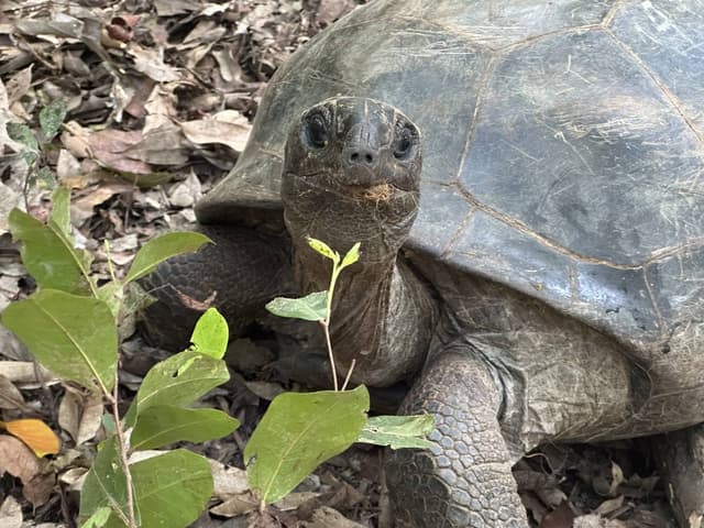 Foto 1 von Roland Reinhard B. (4.2.26)