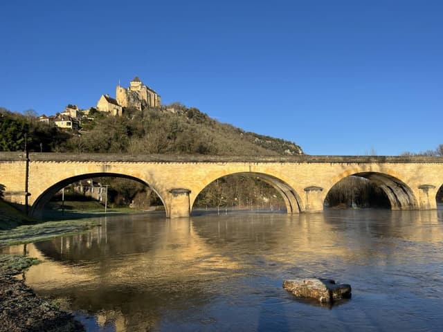 Photo 1 by Penelope F. (3/9/26)