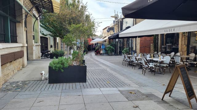 Zdjęcie 3 wykonane przez Piotr C. (6.01.26)