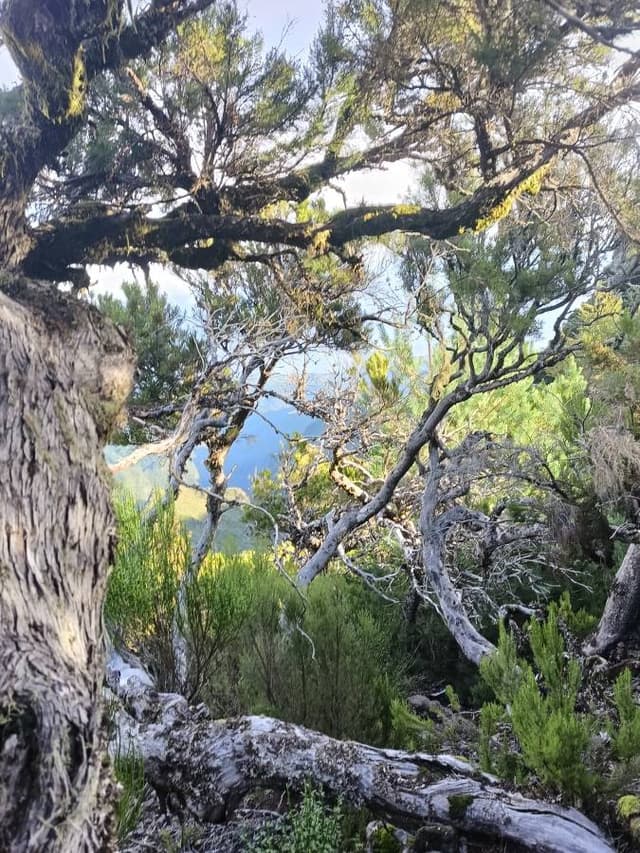 Zdjęcie 2 wykonane przez Matylda L. (2.11.25)