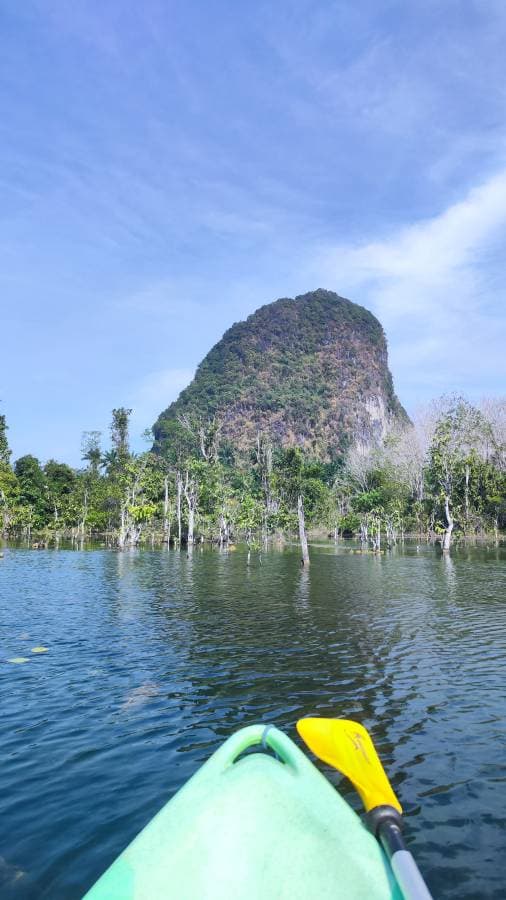 Foto 2 von Claudia D. (12.1.24)