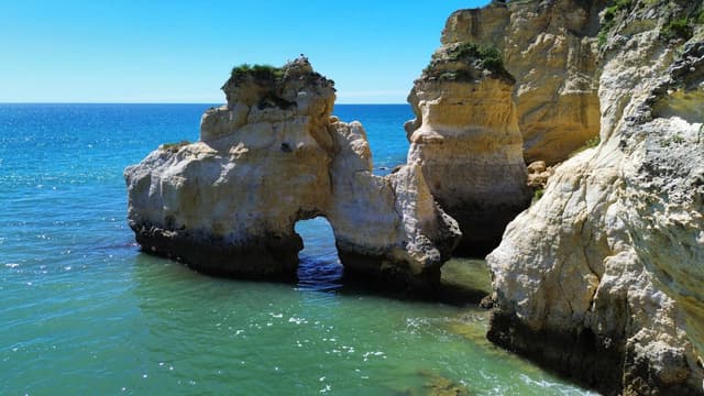 Photo 1 by Robert A. (4/5/26)