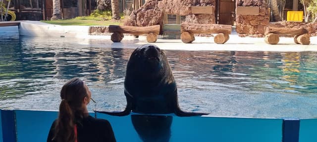 Zdjęcie 5 wykonane przez Andrzej P. (2.03.26)