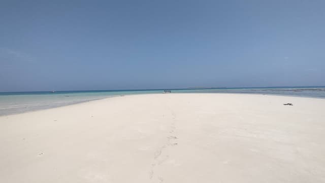 Foto 1 di Rodolfo P. sul noleggio di una Suzuki Vitara a Zanzibar (01/02/25)
