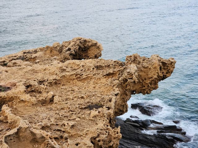 Foto 2 van Jan K. (31-1-25)