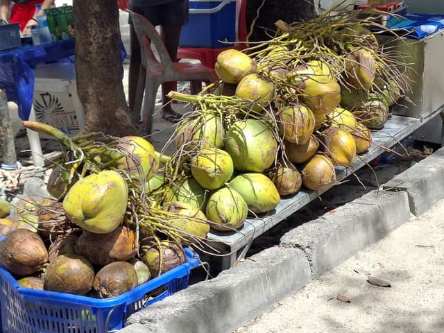 Photo 1 by Gerard T. (12/3/25)