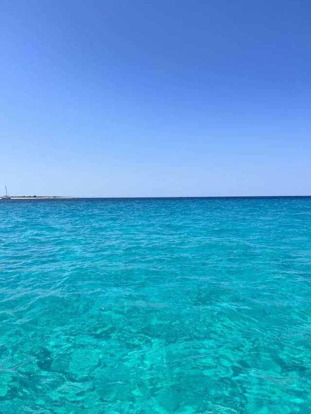 Photo 1 by Jason K. about renting a Ford Focus in Zadar (7/29/23)