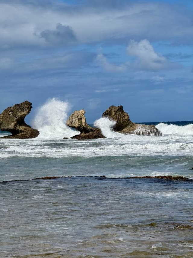 Photo 1 by Simon F. about hiring a Suzuki Jimny at Bridgetown Airport (24.01.25)