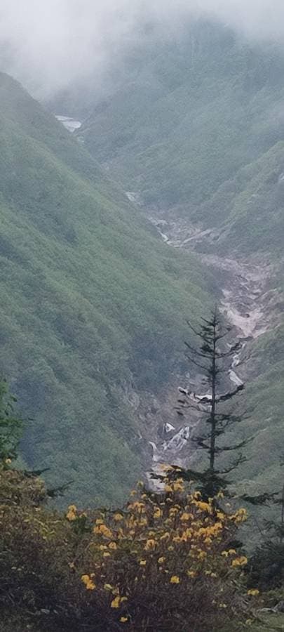 mehmet halit I. tarafından 1 fotoğraf (10.06.25)