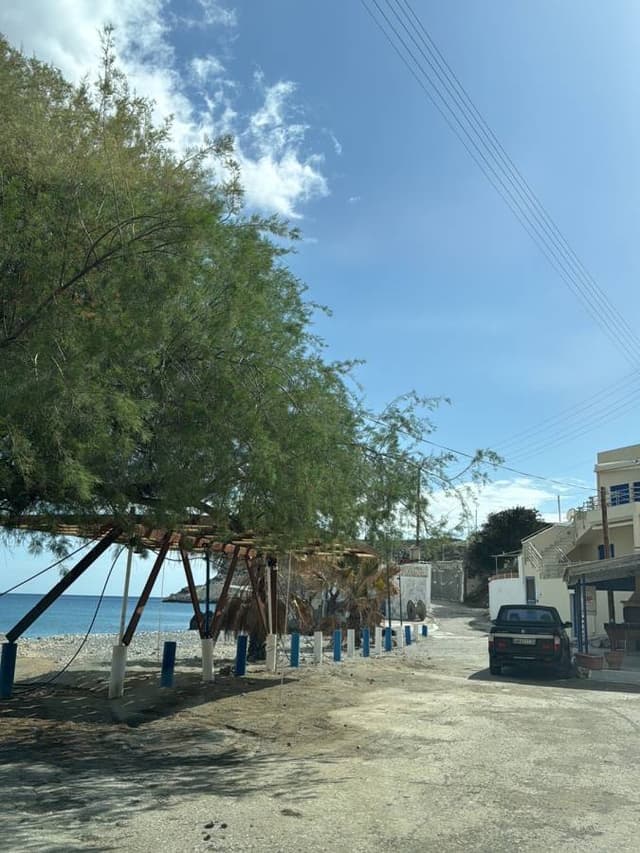 Photo 4 by Kyrylo H. (3/26/26)