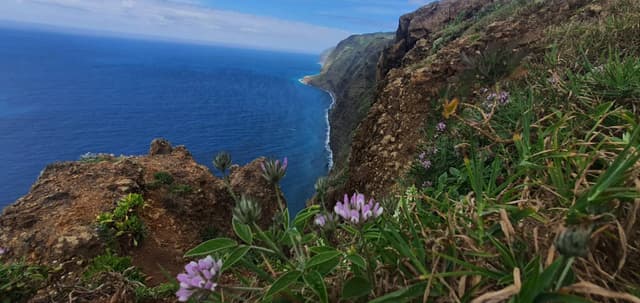 Foto 1 de Joana Catarina D. sobre o aluguer de um Peugeot 208 em Madeira (23/04/24)