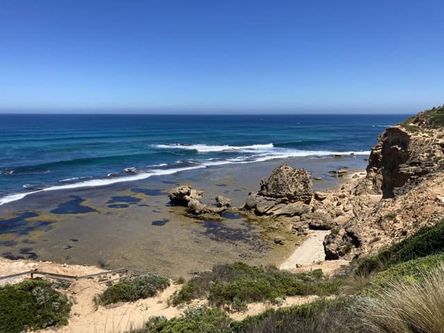 Photo 3 by David C. (12/7/24)