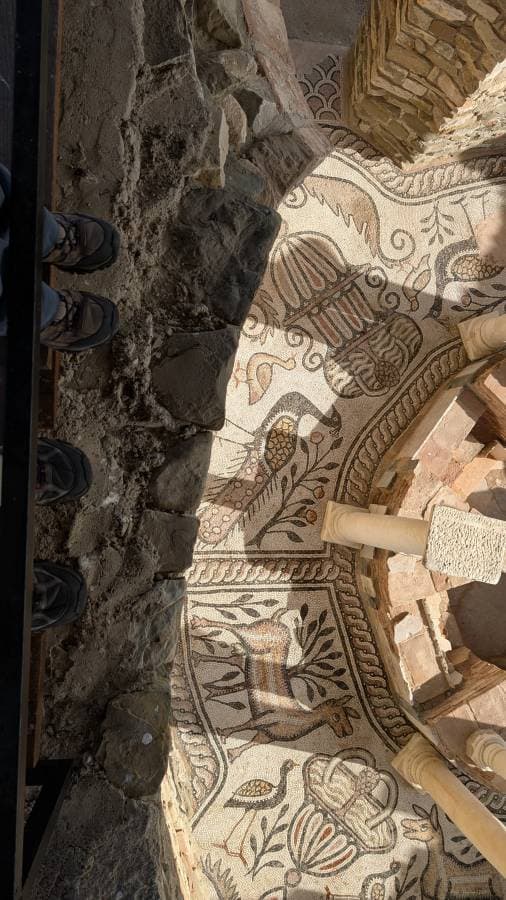 Photo 1 by Anne Marie R. (11/6/25)