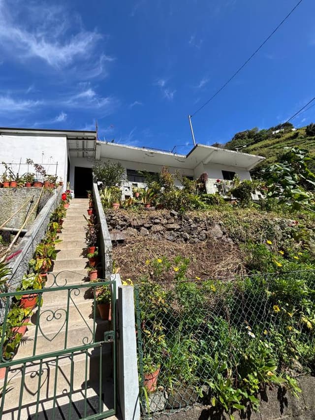 Photo 4 by Monica N. about renting a Citroen C3 in Madeira (2/24/25)