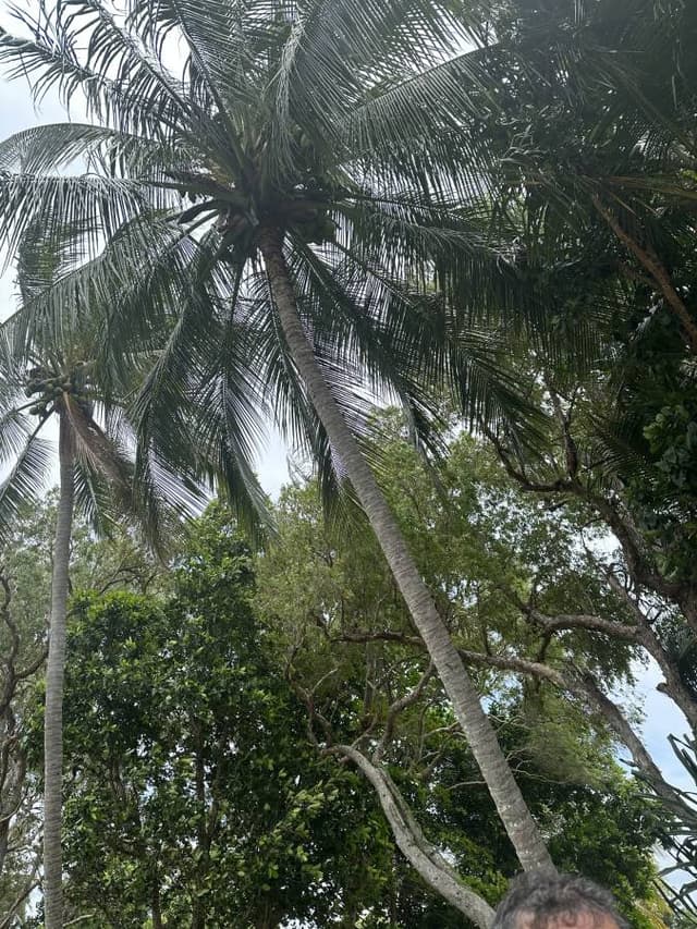 Photo 1 by Lilian M. about renting a Ford Everest in Cairns (11/5/23)