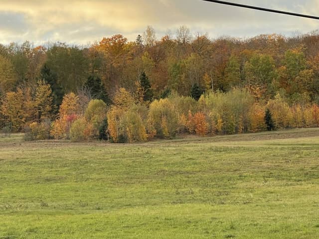 Photo 2 by Karen N. about renting a Chevrolet Bolt in Massachusetts (10/21/23)