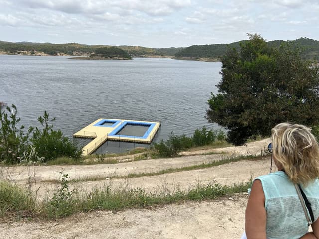 Foto 1 van Patrick D. (10-6-25)