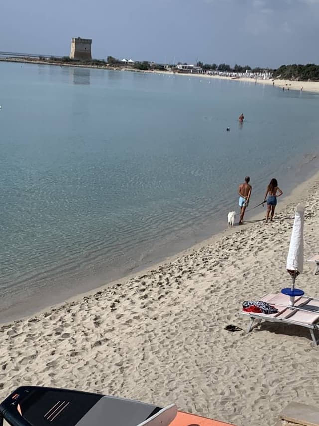 Foto door Juliano P. (16-10-25)