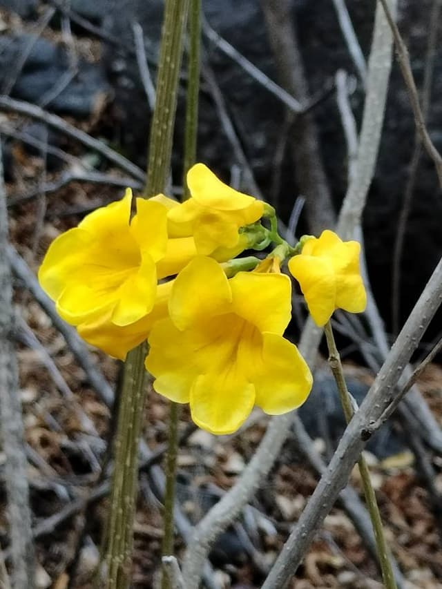 Photo 2 par Remi C. (15/10/25)