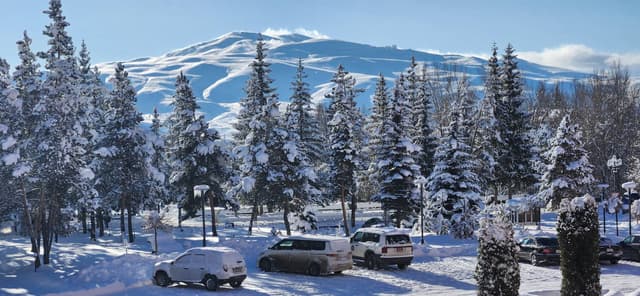 Photo 1 by Hanoch A. (1/5/26)