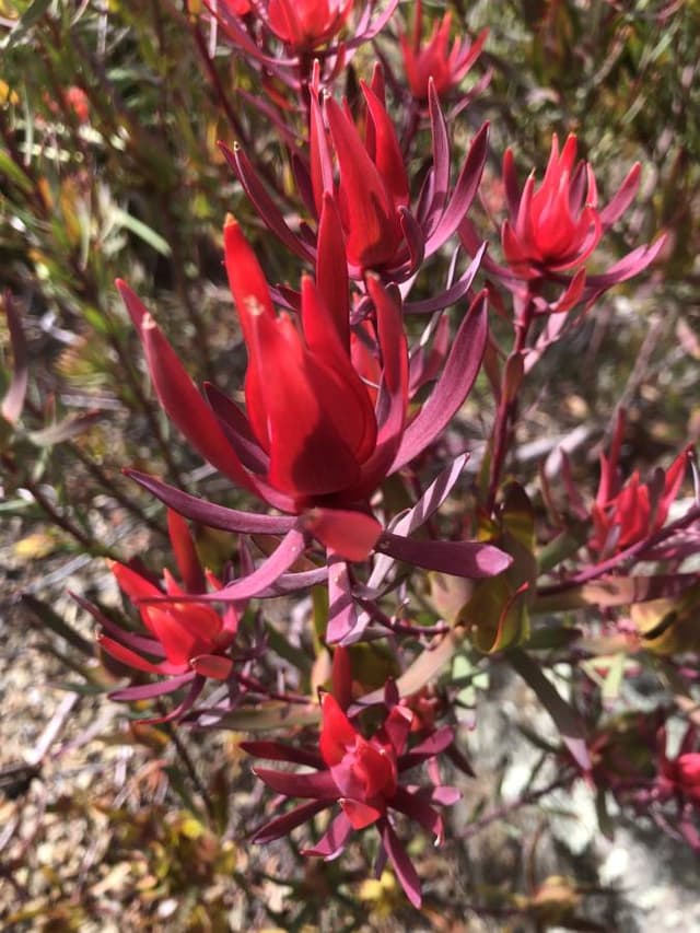 Photo 2 by Frank I. (4/1/26)