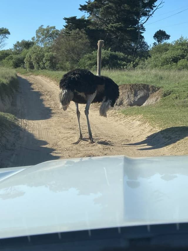 Photo 1 by Janette E. about hiring a Toyota Hilux in South Africa (28.05.24)