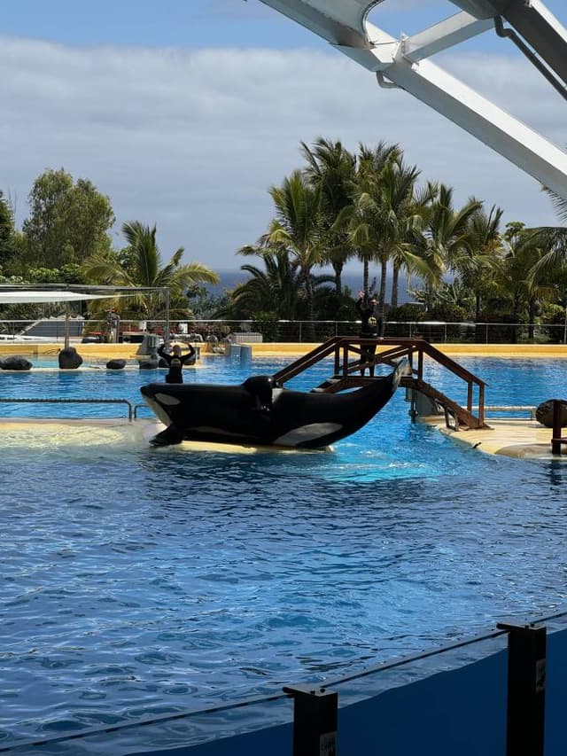 Zdjęcie 2 wykonane przez Bartosz K. (17.05.24)