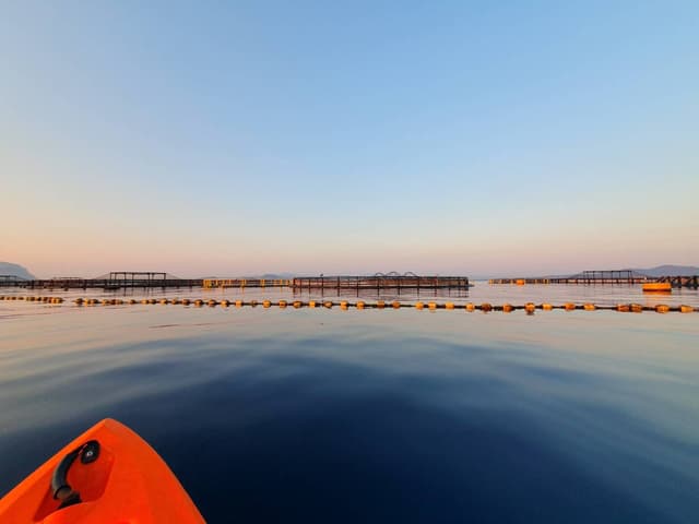 Photo 1 by Quelly S. about renting a Toyota Aygo in Olbia (9/20/23)