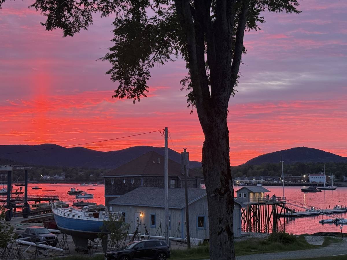 Photo 1 by Laurie R. (6/14/26)