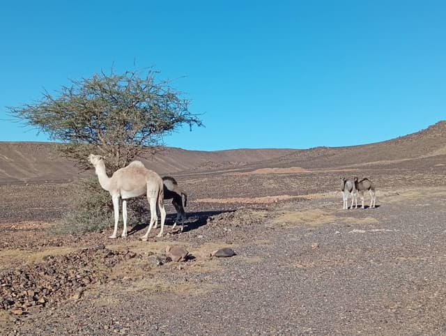 Photo 5 par Gilbert C. (28/01/26)