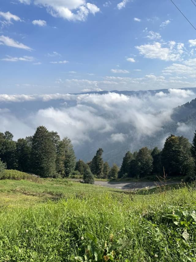 Photo 1 by YASIR J. about hiring a Fiat Egea in Trabzon (13/10/23)