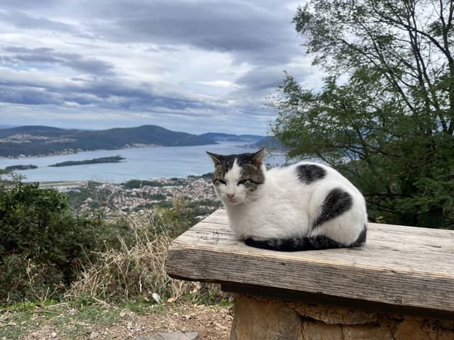 תמונה 1 מאת YANIV B. (9.10.25)