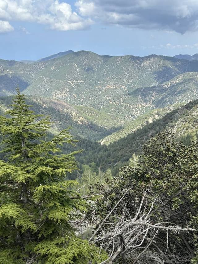 Photo 2 by paul D. about hiring a Volkswagen Up in Cyprus (03/05/25)