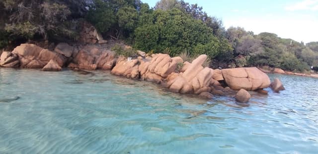 Photo 1 par Qui Anh D. sur la location d'un Fiat 500 en Sardaigne (24/10/23)