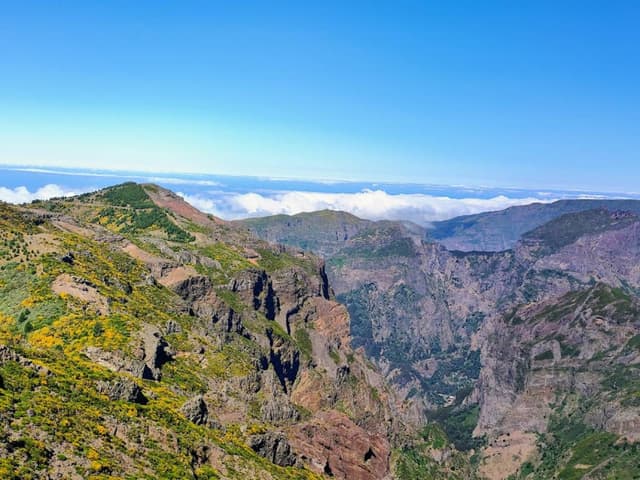 Zdjęcie 3 wykonane przez Ewa S. (1.07.24)