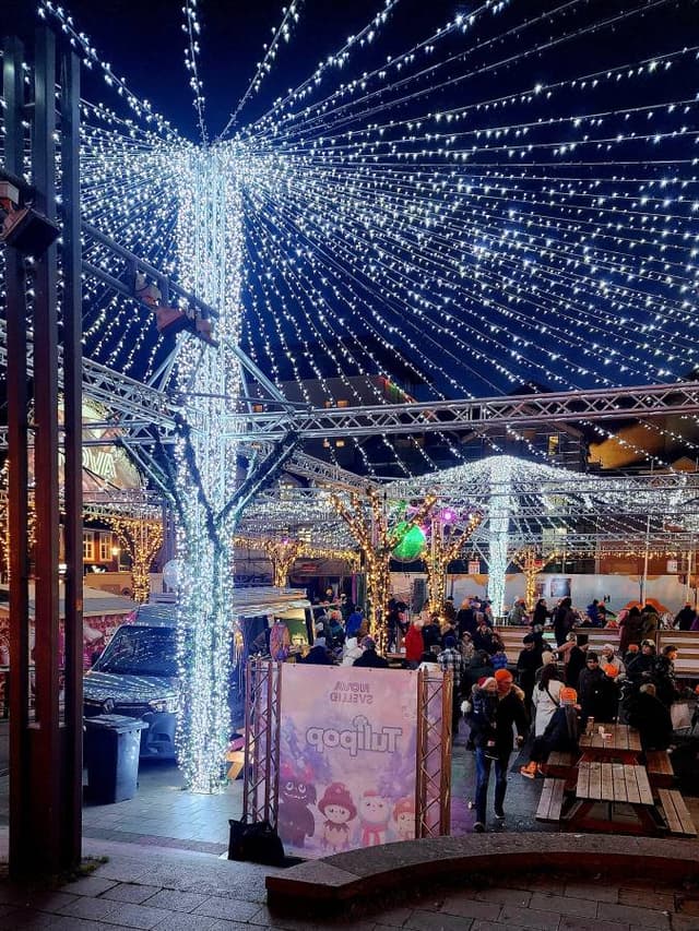 Photo 6 by Brian S. (12/15/25)