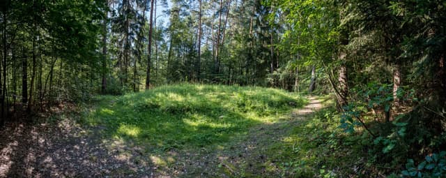 Photo 2 by Test T. about renting a Skoda Fabia in Riga (11/7/23)