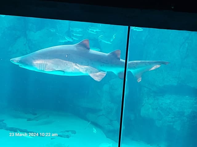 Photo 1 by Vanessa V. about renting a Suzuki Swift in South Africa (3/28/24)