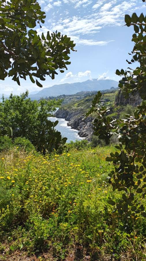 Foto 2 av Fredrik M. (26-04-09)